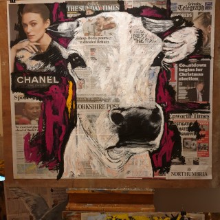 1 5 Newspaper Cow